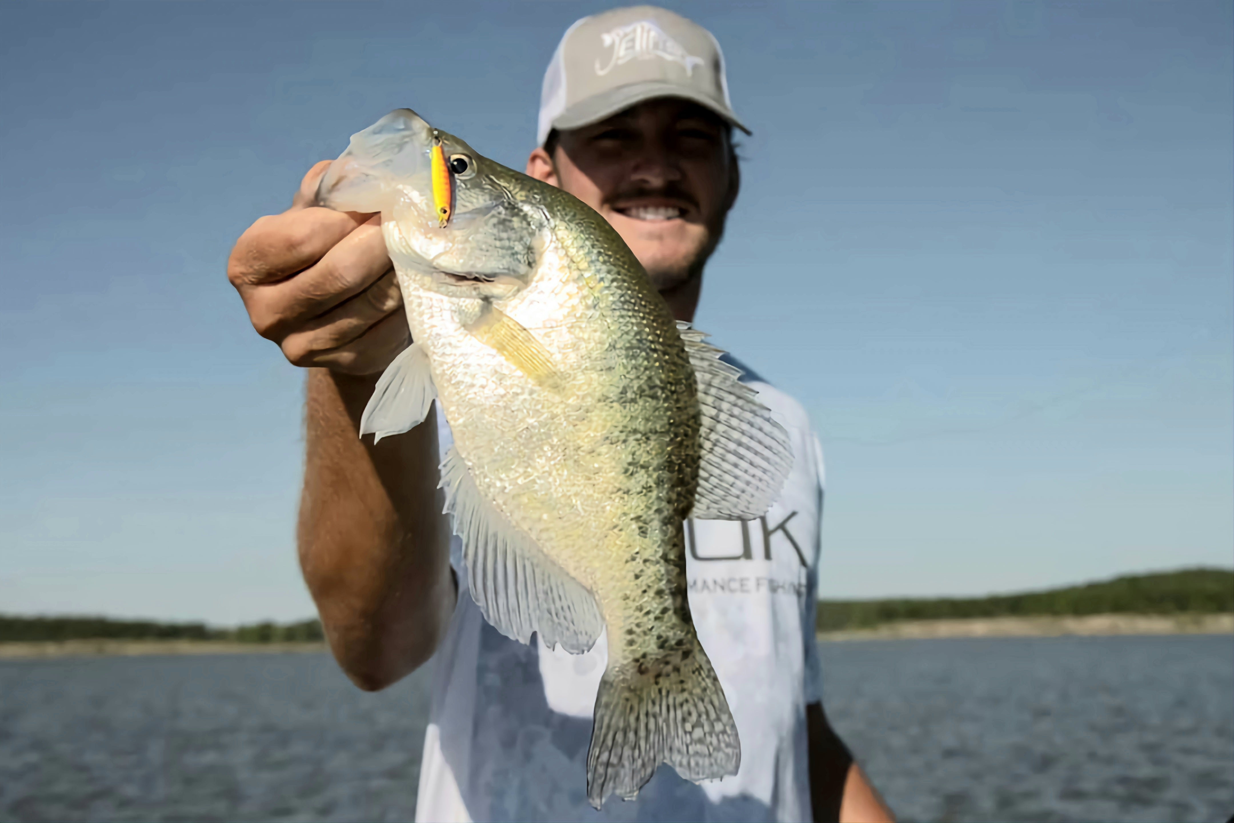 RED CHARTREUSE Jelifish USA Snagless Crappie Bomb®