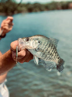 Load image into Gallery viewer, GREEN Jelifish USA Snagless Crappie Bomb™
