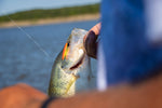 Load image into Gallery viewer, ORANGE FLASH Jelifish USA Snagless Crappie Bomb™
