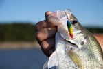 Load image into Gallery viewer, RAINBOW Jelifish USA Snagless Crappie Bomb®
